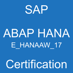 E_HANAAW_17