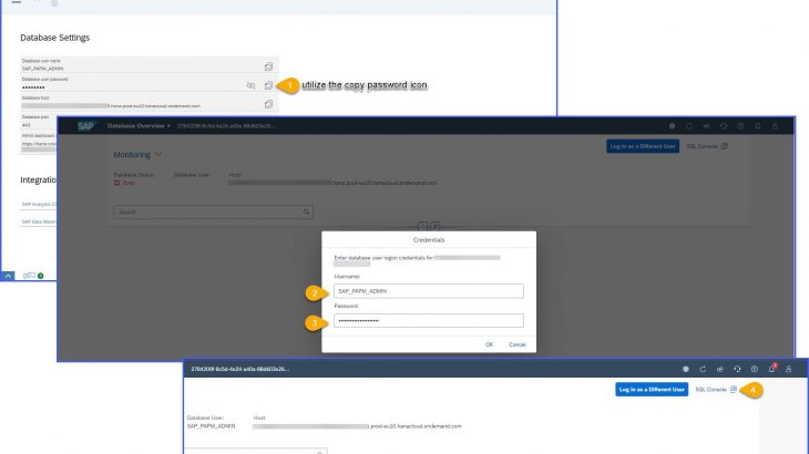 SAP Profitability and Performance Management, SAP HANA DB, SAP PaPM Cloud