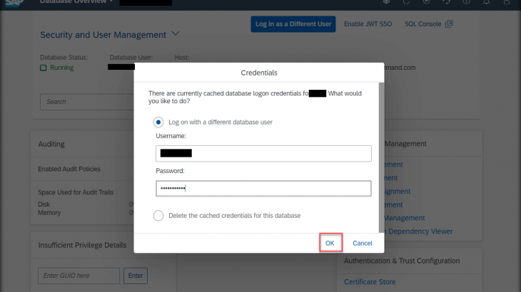 SAP HANA Cloud, SAP Business Application Studio, SAP HANA Database