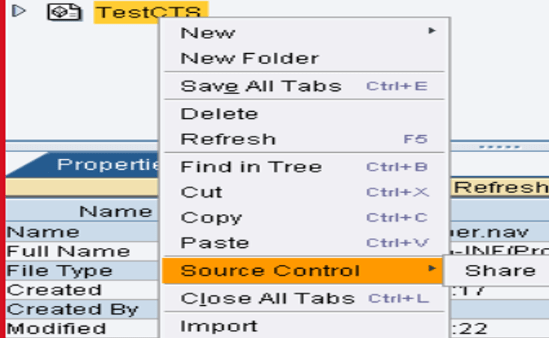 SAP, NW Java Developer Studio (NWDS)