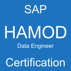 SAP Data Engineer Certification, C_HAMOD_2404