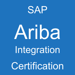 SAP Ariba Integration Certification, C_ARCIG_2404