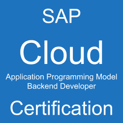 SAP Cloud Application Programming Model Backend Developer Certification, C_CPE_2409