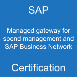 SAP Managed gateway for spend management and SAP Business Network Certification, C_ARCIG_2508