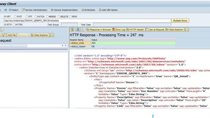 NW ABAP Gateway (OData), ABAP Development, NW ABAP Web Services